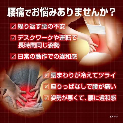 KOBAYASHI Waist Hotton Heat Pad 10pcs