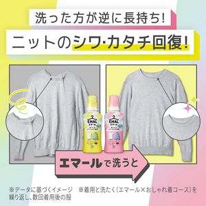 KAO Emal Delicate Laundry Detergent Aromatic Bouquet 460ml