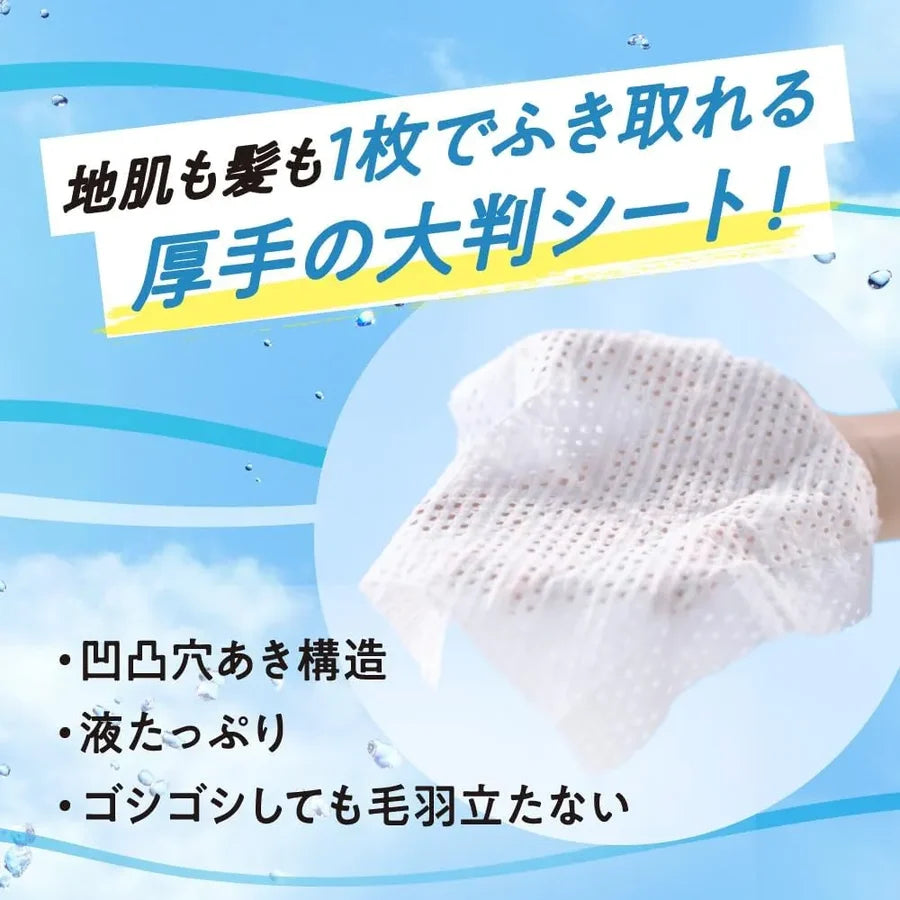 KAO MERIT Dry Shampoo Sheets Smooth & Manageable 12pcs