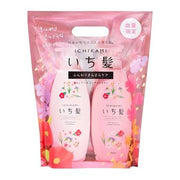 ICHIKAMI Airy & Silky Shampoo Conditioner Set