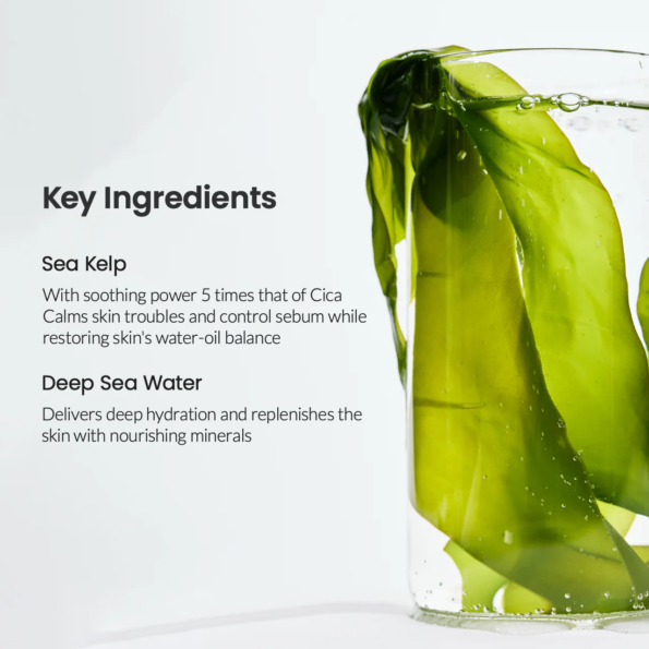 Biodance 清爽海藻深层面膜 (34克×4片)