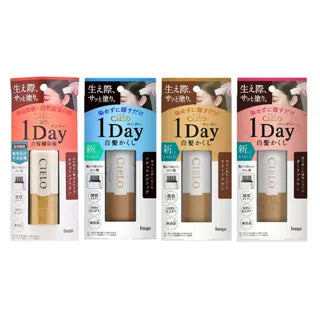 HOYU CIELO One-Day Gray Hair Cover Stick
