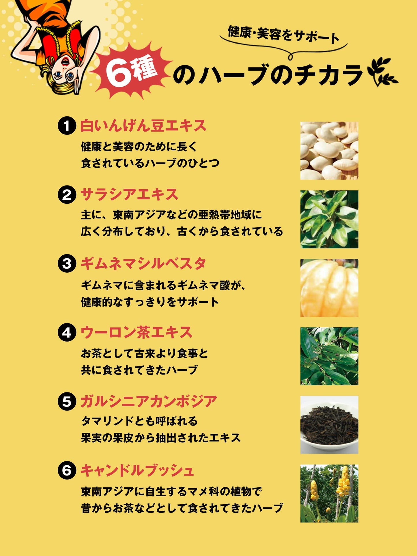 Svelty | Triple Pakkun Yeast 100 TABLETS