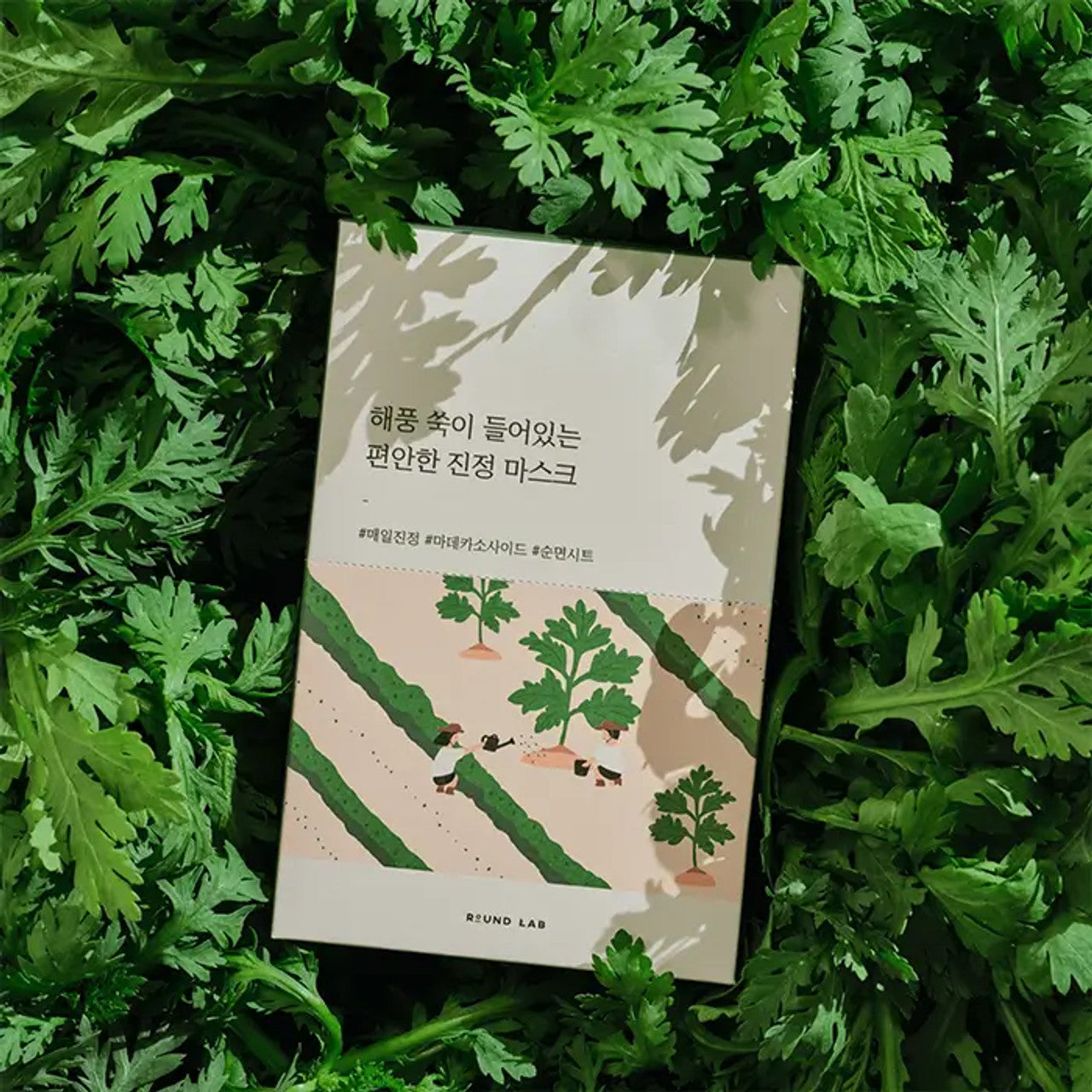 Round Lab - Mugwort Calming Sheet Mask 25ml