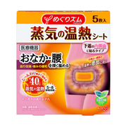 KAO MegRhythm Steam Thermal Underwear Patch 5pcs