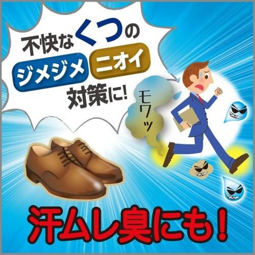 S.T CORPORATION Drypet Binchotan Shoe Dehumidifier 2 Pairs