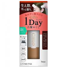 HOYU CIELO One-Day Gray Hair Cover Stick