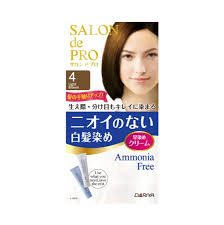 DARIYA Salon de Pro Smell-Free Hair Color
