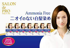 DARIYA Salon de Pro Smell-Free Hair Color