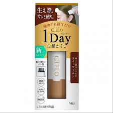 HOYU CIELO One-Day Gray Hair Cover Stick