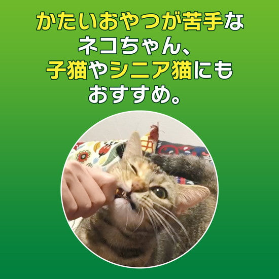 LION PETKISS Cat Dental Treats Tuna 14g
