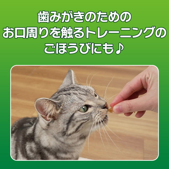 LION PETKISS Cat Dental Treats Tuna 14g