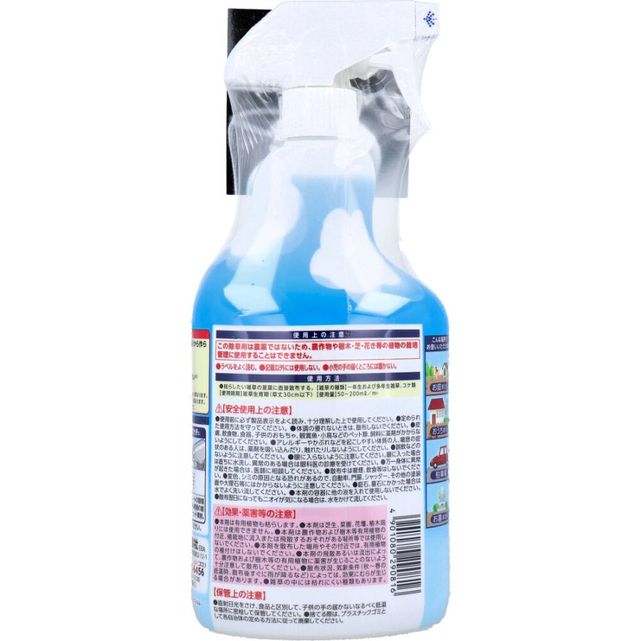 EARTH Rapid-Action Weed Killer Spray 1000ml