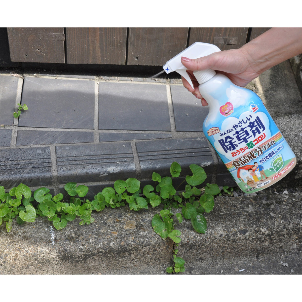 EARTH Rapid-Action Weed Killer Spray 1000ml