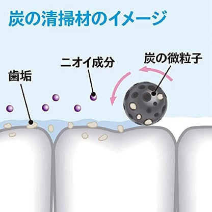 KOBAYASHI Sumigaki Charcoal Toothpaste 100g