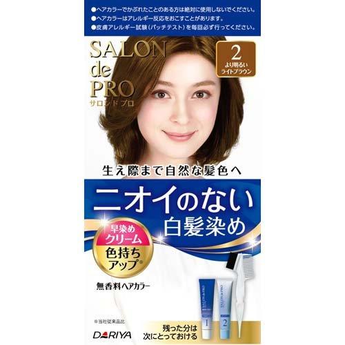 DARIYA SALON DE PRO NO SMELL HAIR COLOR #2